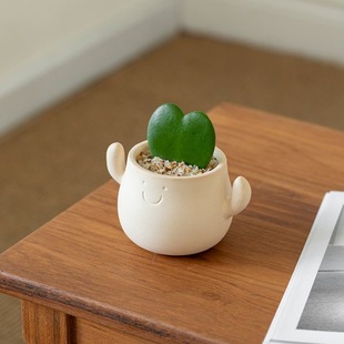 盆栽室内耐旱绿植花卉客厅桌面ins风四季常青懒人小植物笑脸盆栽