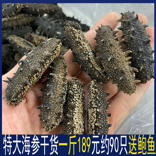 送鲍鱼9年海参一斤500g干货野生深海辽刺参海渗叁礼盒辽参非即食