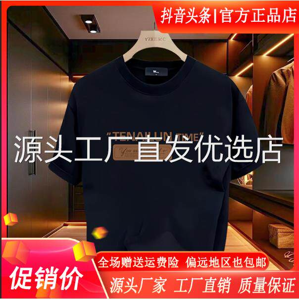 枫善服饰Amphelisia夏季T恤高贵上档次爆款男款短袖个性轻奢上衣
