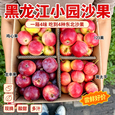 东北沙果组合一箱4味吃不腻