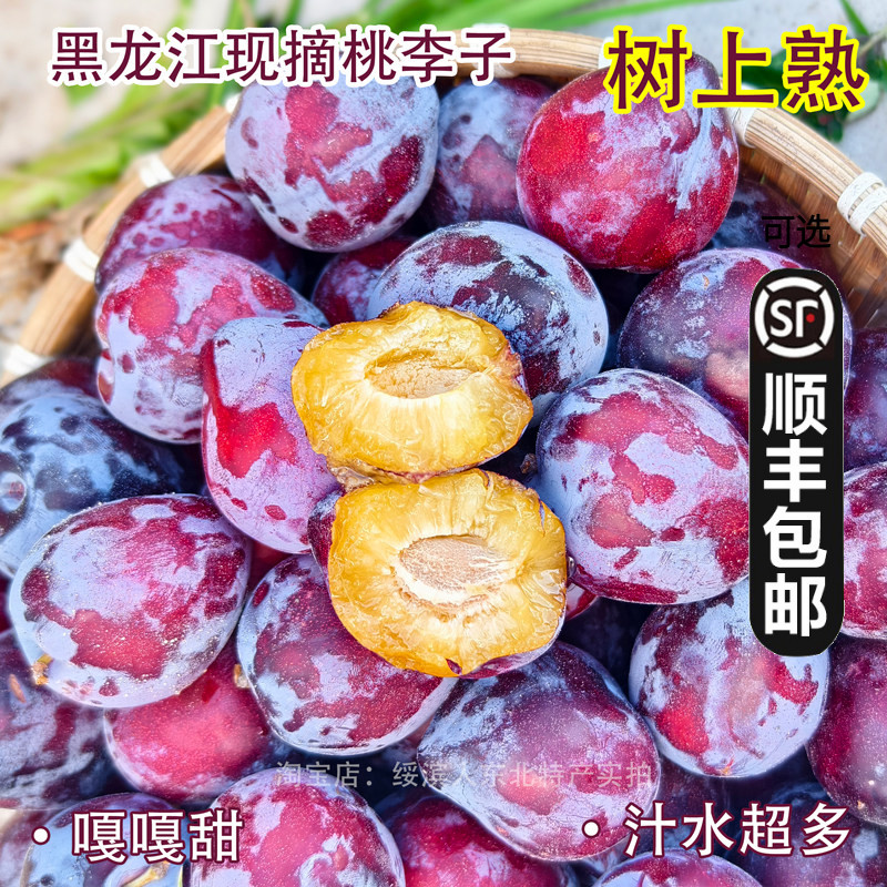 5斤29东北好吃干碗酸甜口桃李子