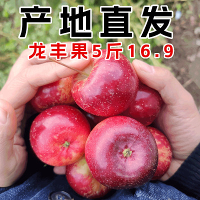 现货东北龙丰果大秋果整箱5斤沙果新鲜当季水果特产海棠果龙秋果