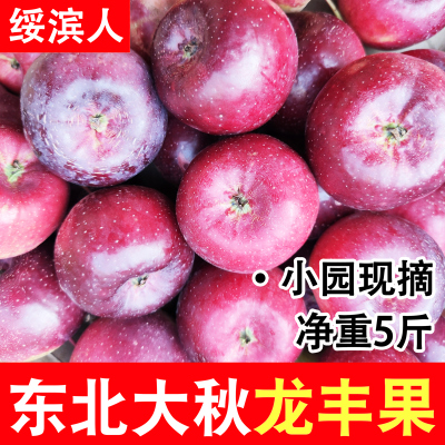 黑龙江成熟度高精品龙丰大秋果