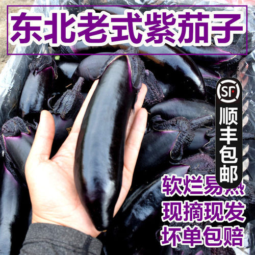 黑龙江农家现摘薄皮紫茄子5斤