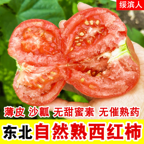 黑龙江无甜蜜素自然熟沙瓤西红柿