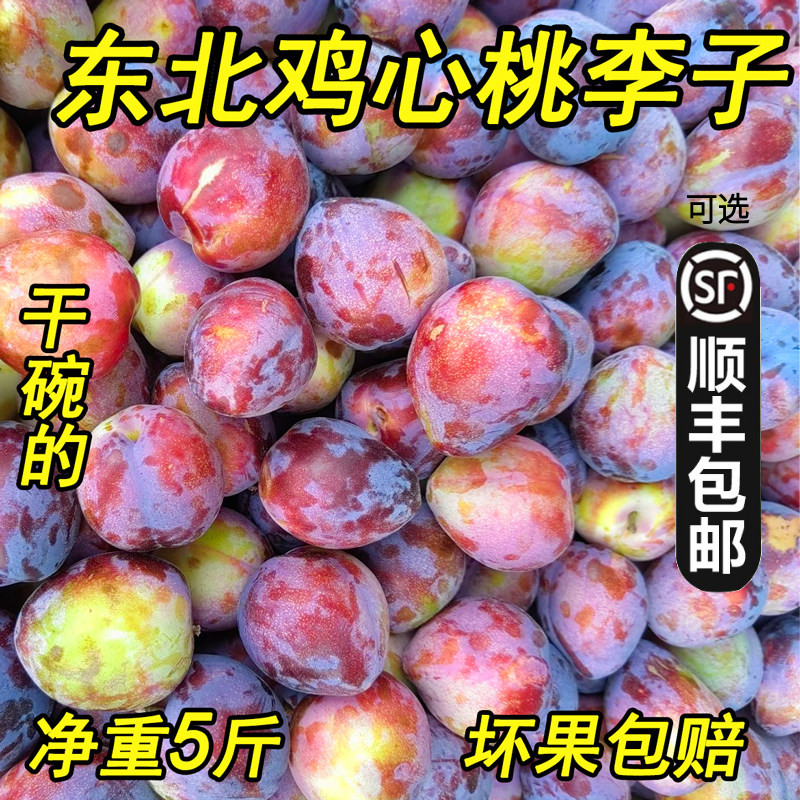 发顺丰黑龙江干碗鸡心桃李子5斤