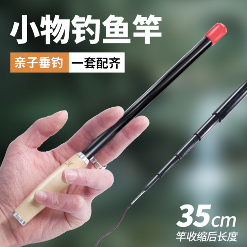 LDLD小物钓鱼竿套装鳑鲏马口儿童鱼竿全套 短节溪流竿超轻超细短