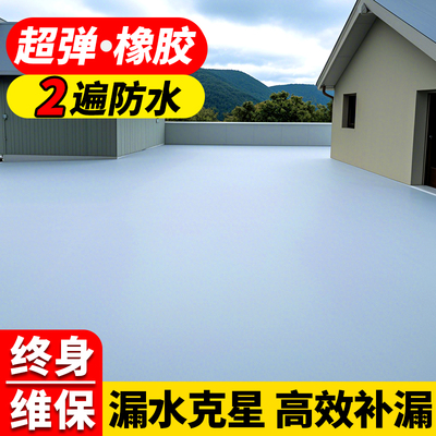 屋顶防水补漏材料双层防漏专用涂料户外屋顶裂缝渗水外墙防漏胶水