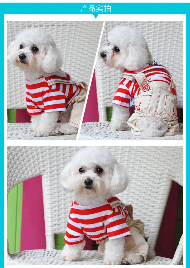 狗狗四脚衣服春装夏装宠物衣服泰迪贵宾的小型夏季幼犬茶杯犬背带