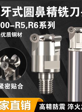 R200锁牙式分体精铣刀头合金抗震数控加工刀具 RCKT10T3/1204刀片