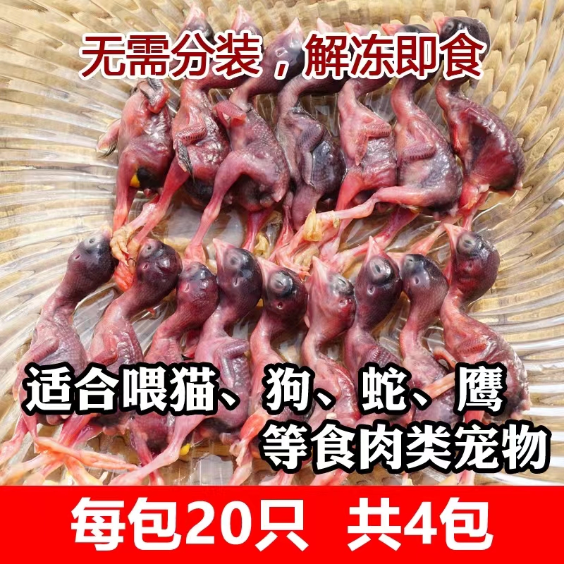 小鹌鹑幼仔肉类非冻干宠物零食