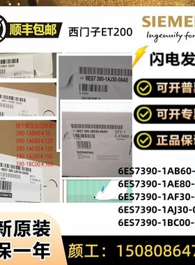 西门子导轨6ES7390-1AB60-0AA0/1AE80/1AF30/1AJ30/1BC00OAAO底座