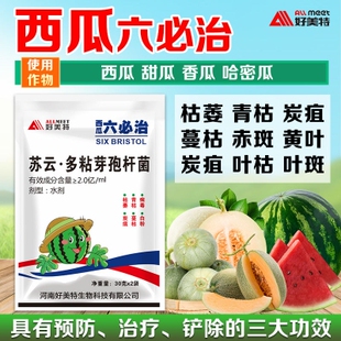 西瓜六必治叶面肥甜瓜哈密瓜黄叶枯萎青枯赤斑蔓枯炭疽瓜专用肥料