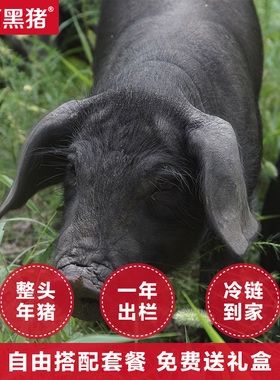 徒河黑猪整头年猪毛重约150斤散养新鲜净重88.6斤土猪组合