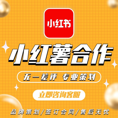 小红书品牌策划1V1指导合作小红薯xhs营销策划托管设计服务