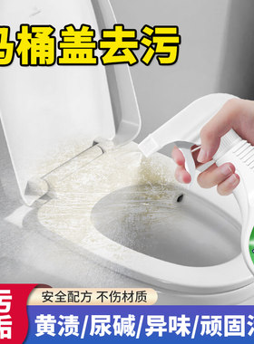 马桶盖清洁神器坐垫圈除霉尿渍