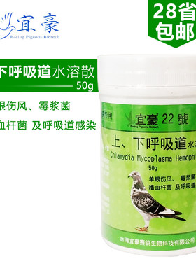 台湾鸽药赛鸽子上下呼吸道鸽子