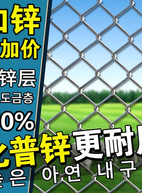 热镀锌铁丝网格围栏网养殖钢丝网菜园护栏网批发家用养鸡网防护网