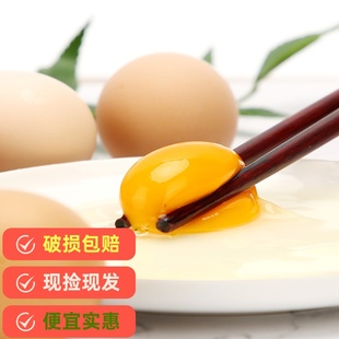 粉壳蛋农家山林散养土鸡蛋新鲜虫草鸡蛋8 枚 43g 40枚 34g