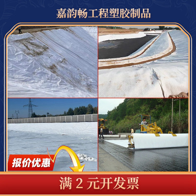 公路养护土工布白色长短丝无纺布大鹏保温工程护坡防渗防水土工布
