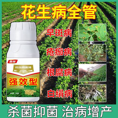 花生杀菌剂花生病全治叶斑病死苗根腐白娟病锈病菌核病花生专用药