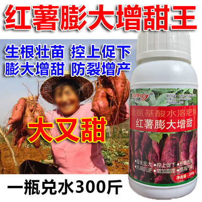 红薯控旺膨大素红薯专用肥地瓜增产叶面肥红薯增甜防裂高产万斤王