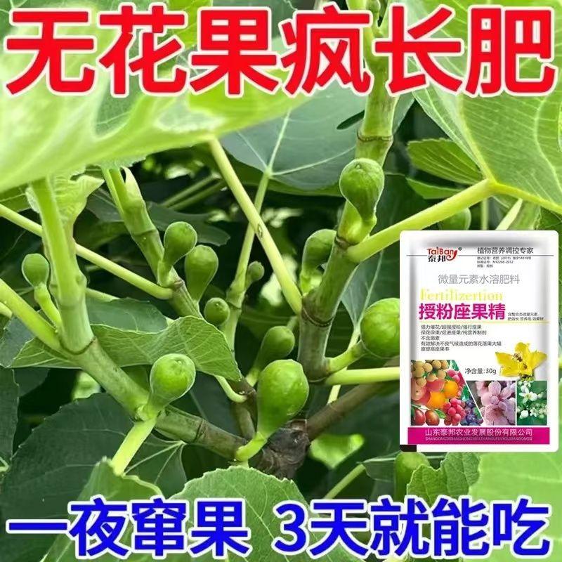 无花果专用肥料花肥开花生根缓释肥花卉植物营养液肥料有机营养肥
