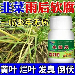 韭菜病全治韭菜专用药灰霉病软腐病烂叶干尖斑点病杀菌剂特效农药