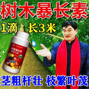 苗木速长增粗剂果树杨树树苗桉树茶树生根肥壮根剂促生长专用肥料