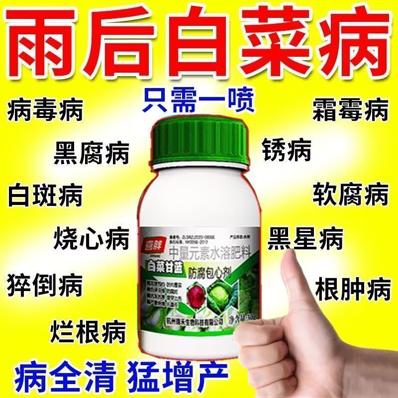 白菜专用肥白菜猛涨预防大白菜烂根黄叶腐烂软腐灰霉病非农药全治
