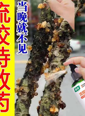 桃树流胶病专用药【流胶一喷净】柑橘果树溃疡病腐烂病流胶穿孔净