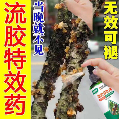 桃树流胶病专用药【流胶一喷净】柑橘果树溃疡病腐烂病流胶穿孔净