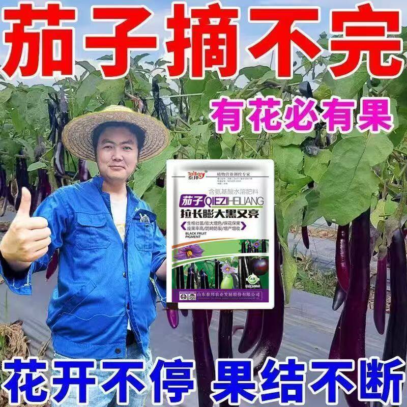 【一喷免点花】茄子坐果灵茄子专用点花药茄子授粉神器保花保果药