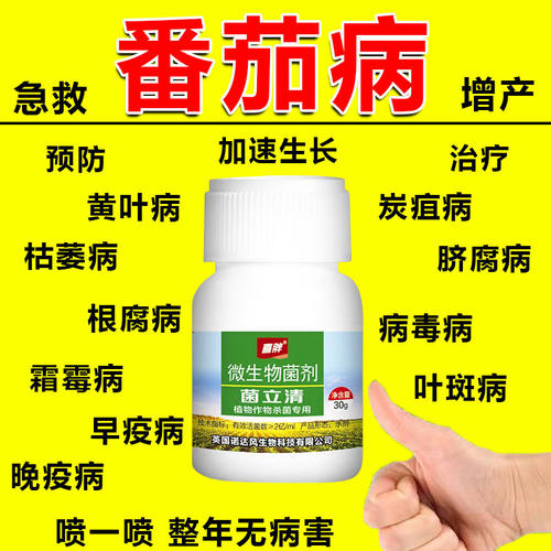 番茄专用药番茄病全治灰霉病霜霉病病毒病叶斑病炭疽病白粉正品