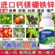 进口钙镁硼锌铁叶面肥螯合中微量元 素西红柿草莓果树黄瓜蔬菜通用