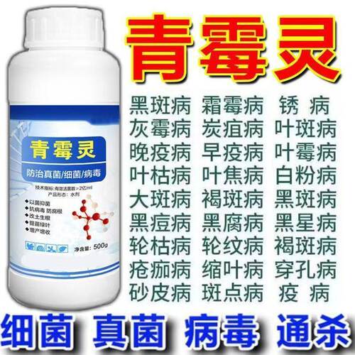 农用青霉灵真菌细菌病毒病早晚疫病霜霉病白粉病灰霉病稻瘟病锈病