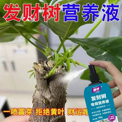 发财树专用营养液室内盆栽专治黄叶烂根枯枝爆芽生根有机肥