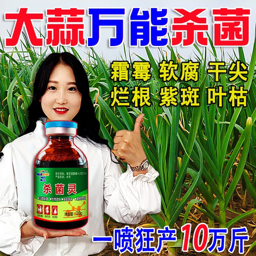 大蒜病全治大蒜专用药根腐病叶枯病菌核病干尖黄叶蒜苗专用杀菌剂