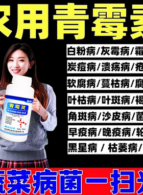 番茄辣椒黄瓜茄子豆角药病全治疾病清叶斑病枯萎根腐病黄叶青霉灵