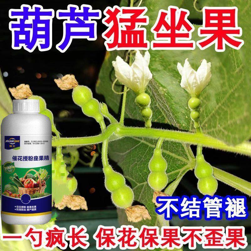 葫芦授粉保花坐果灵葫芦授粉座果精葫芦授粉精葫芦坐果灵通用型