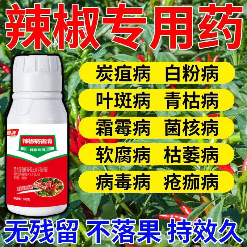 辣椒病毒病辣椒病全治植物蔬菜进口辣椒疫病清辣椒疫病
