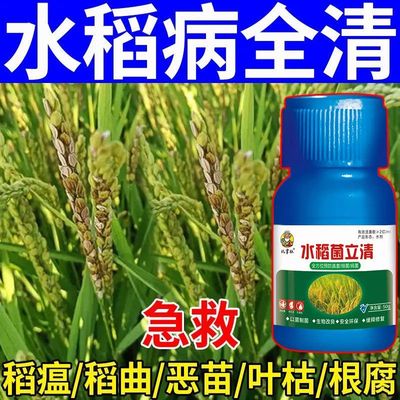 水稻专用药稻瘟清水稻病全治纹枯稻曲基腐条斑死苗叶斑叶枯病全治