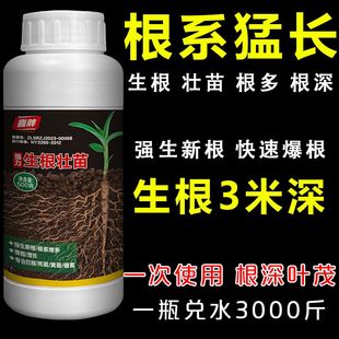 猛生根剂强力生根壮苗剂生根液移栽扦插果树花卉绿萝促发生根