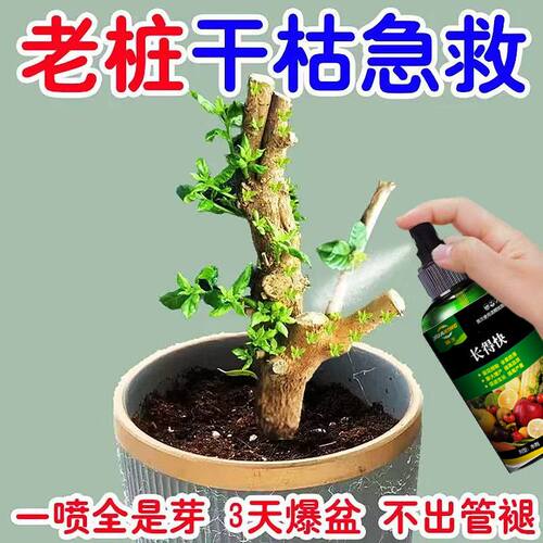 【新芽猛长】老桩催芽剂促芽僵苗快速发新芽防黄叶促花营养复活肥