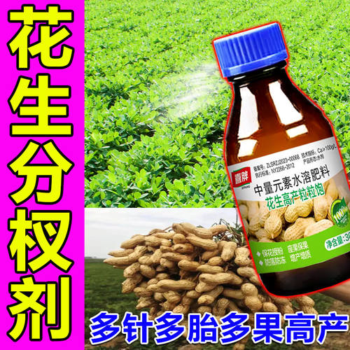 花生膨大粒粒饱正品花生专用膨大剂增高产增收花生粒粒饱快速大果