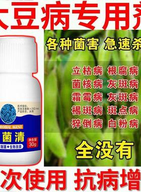 大豆病全治黄豆病药黄叶花叶病毒病根腐病防虫害叶斑空夹病病全管