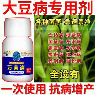大豆病全治黄豆病药黄叶花叶病毒病根腐病防虫害叶斑空夹病病全管