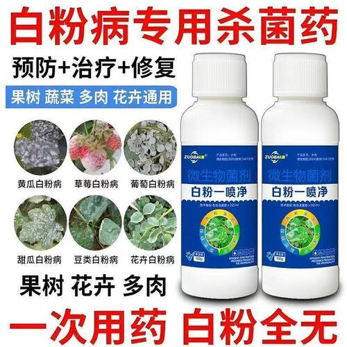 白粉病专用药不伤花不伤蜂白粉一喷净抗性白粉病专用杀菌剂不残留