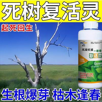 枯树再生液复活营养液提高移栽成活率改善树木充分激活大树生根液