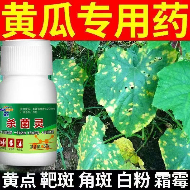 黄瓜病专用药黄点病霜霉病角斑病疫病白粉叶斑病灰霉病病毒病全治